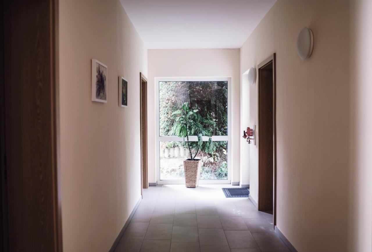 Hotel - Pension Vesta Bad Elster Bagian luar foto