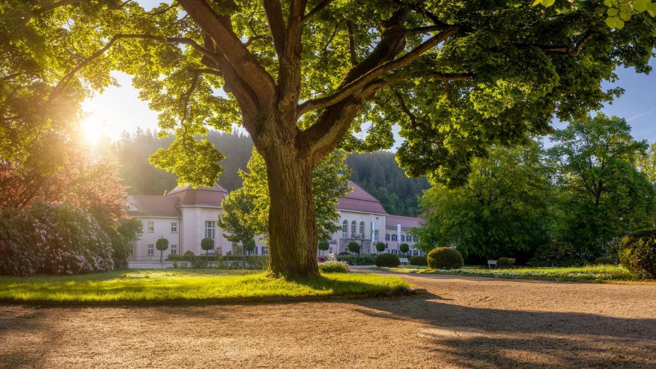 Hotel - Pension Vesta Bad Elster Bagian luar foto